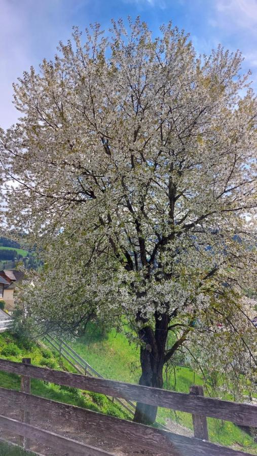 Franz Josef Aich (Styria)
